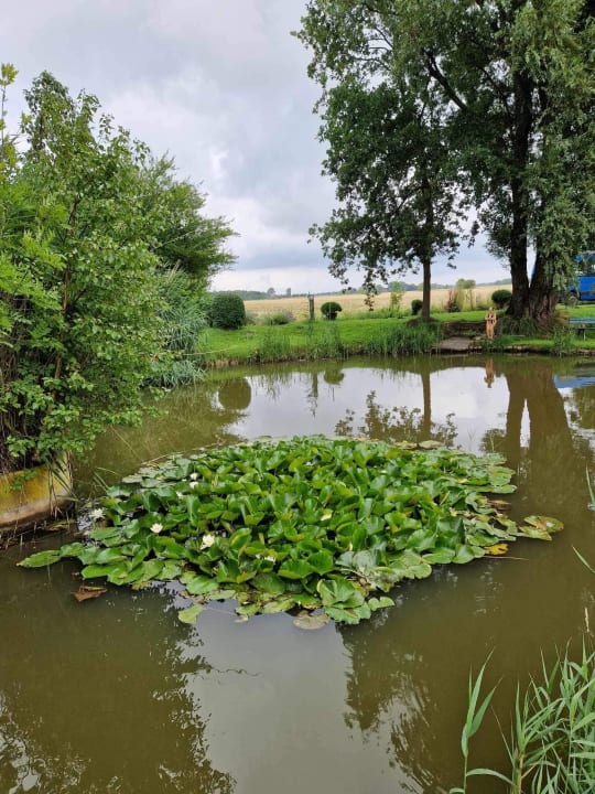 Gartenanlage Hotelpension Altes Zollhaus-Leybucht