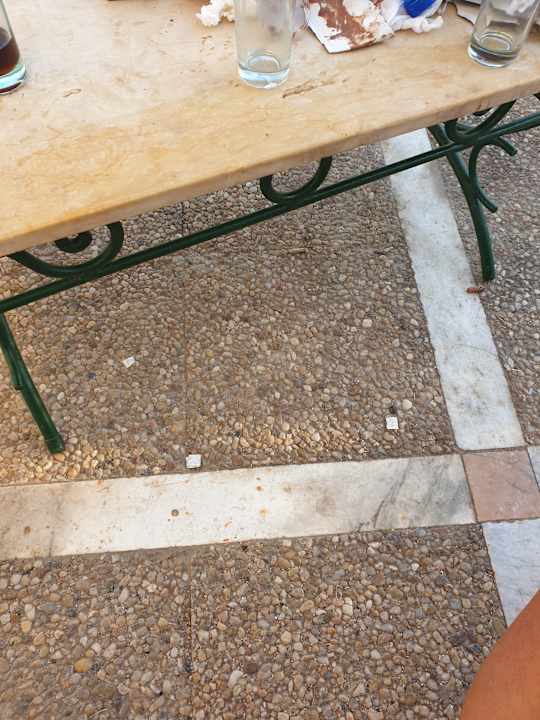 Gartenanlage Hotel Club Tropicana & Spa