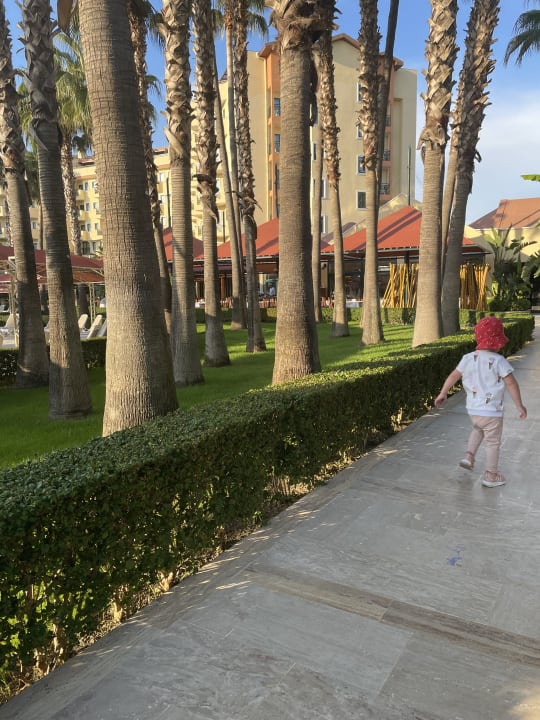Gartenanlage Miramare Queen Hotel