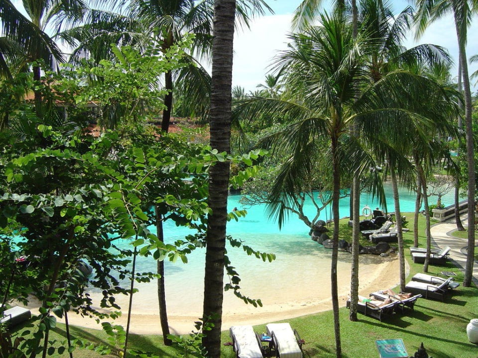 Aussicht aus Zimmer mit Lagunensicht The Laguna A Luxury Collection Resort & Spa