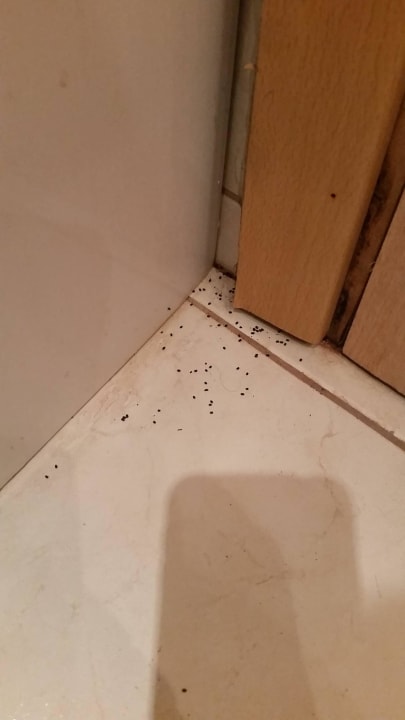 Käferkot Paradise Beach Hotel