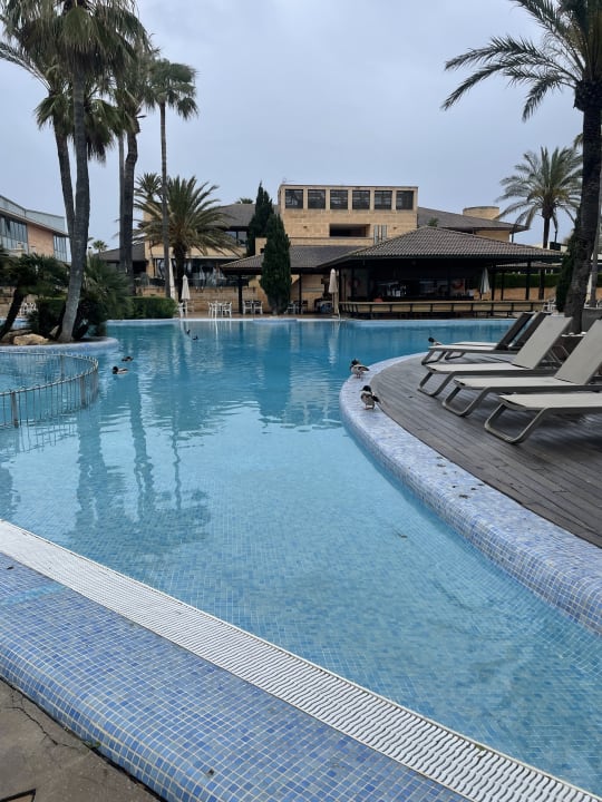 Pool PortBlue Club Pollentia Resort & Spa
