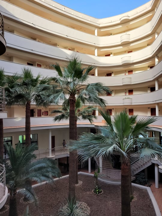 Zimmer allsun App.-Hotel Orient Beach