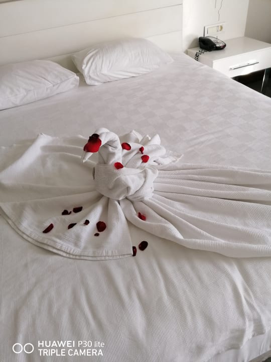 Zimmer Gold Island Selected