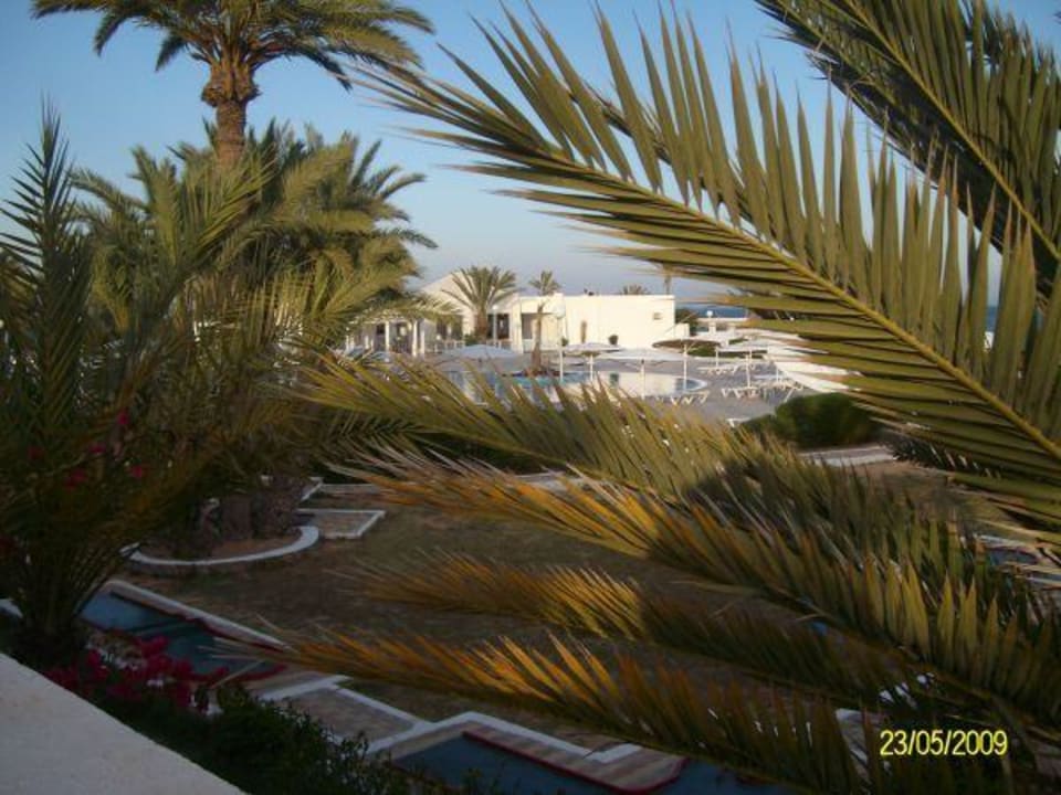 Blick von unserer Terrasse Hotel El Mouradi Djerba Menzel