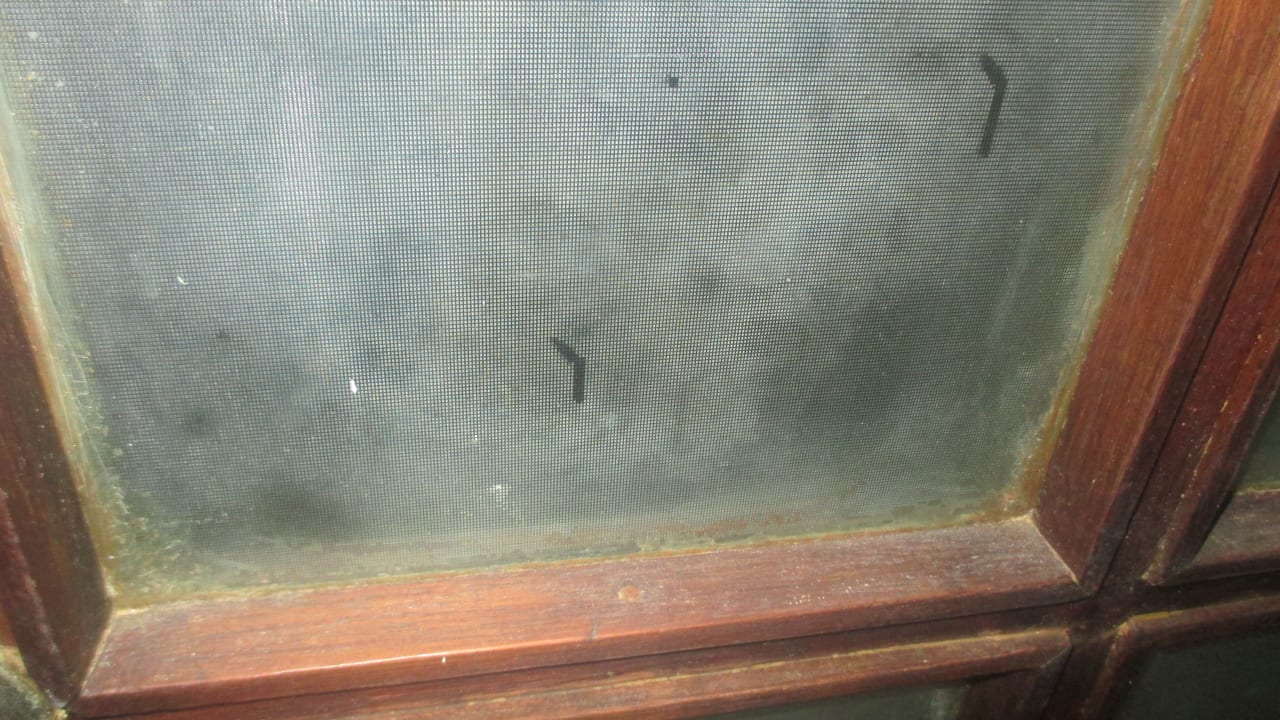 Fenster der Badtür Neptune Paradise Beach Resort & Spa