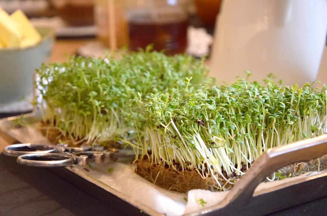 Gastro Land Cafe Spielhofer - Cafe &  Gästezimmer