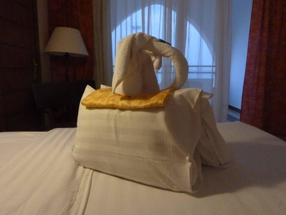 Gruß vom Zimmerboy Three Corners Equinox Beach Resort