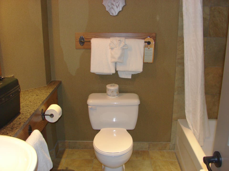 Badezimmer Hotel Banff Caribou Lodge and Spa