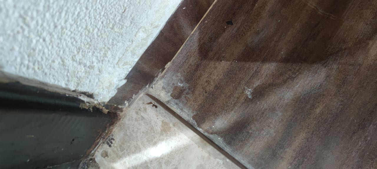 Zimmer Beach Safari Nubian Resort