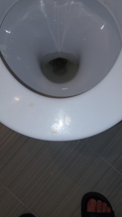 Gastro Hotel Borjana