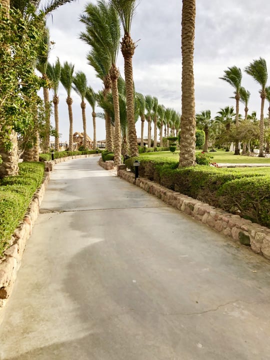 Gartenanlage JAZ Mirabel Beach