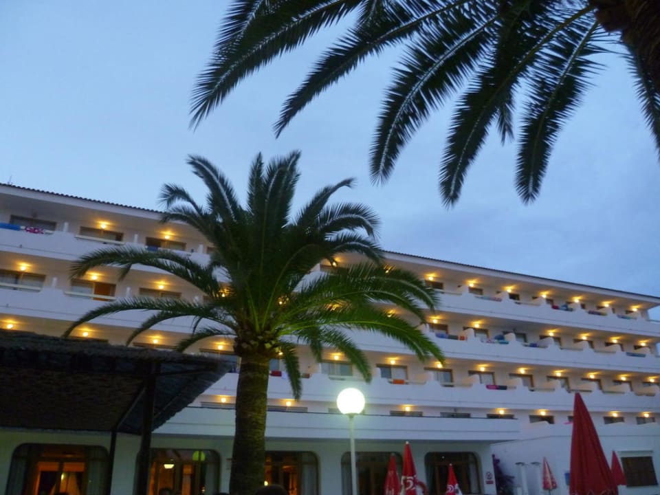 Blick von der Poolbar auf das Hotel Millor Sol