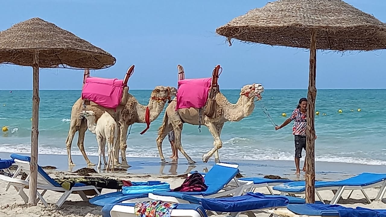 Strand Vincci Dar Midoun