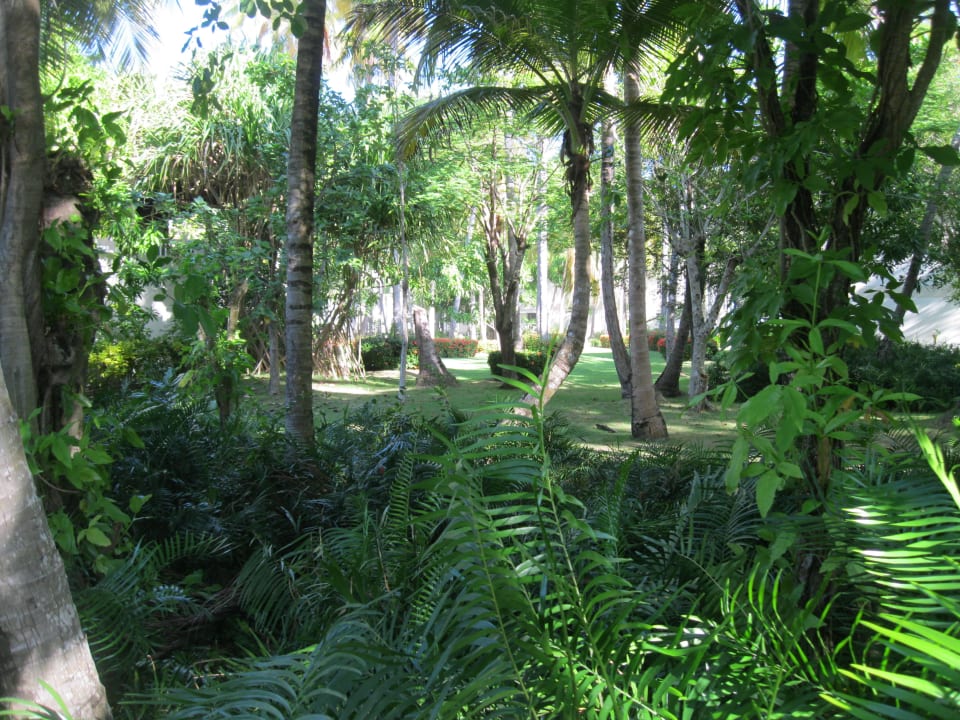 Garten Vista Sol Punta Cana