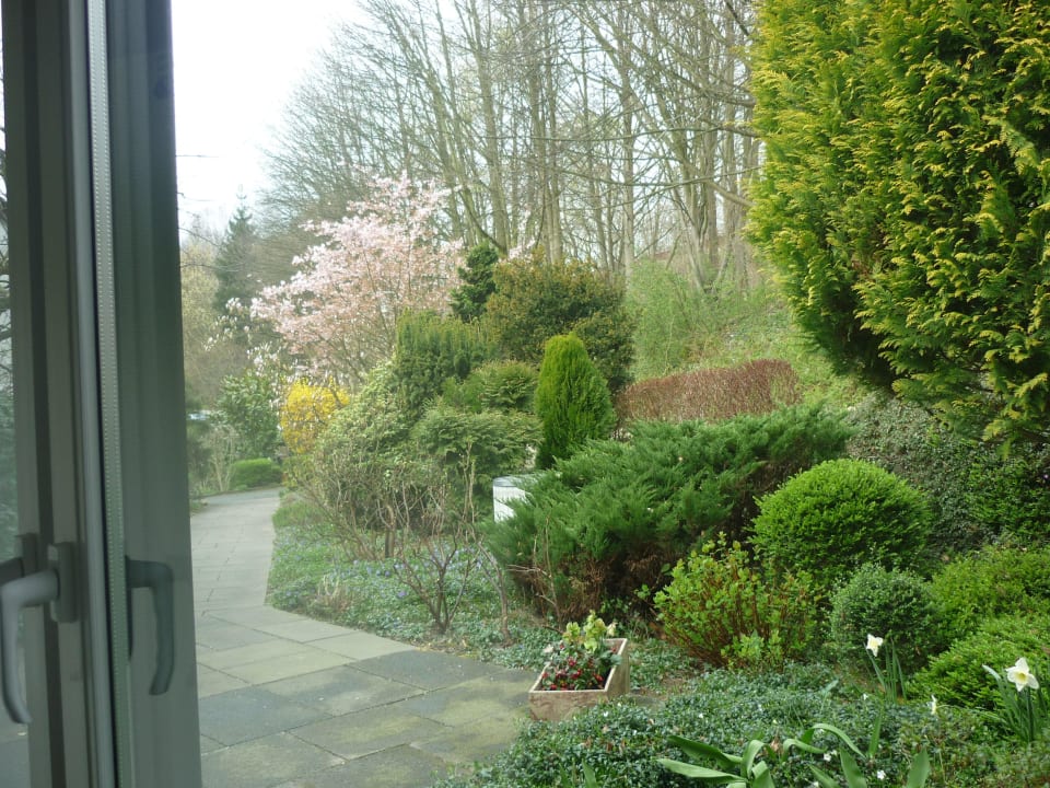 Ausblick ins Grüne Apartment Kieckers