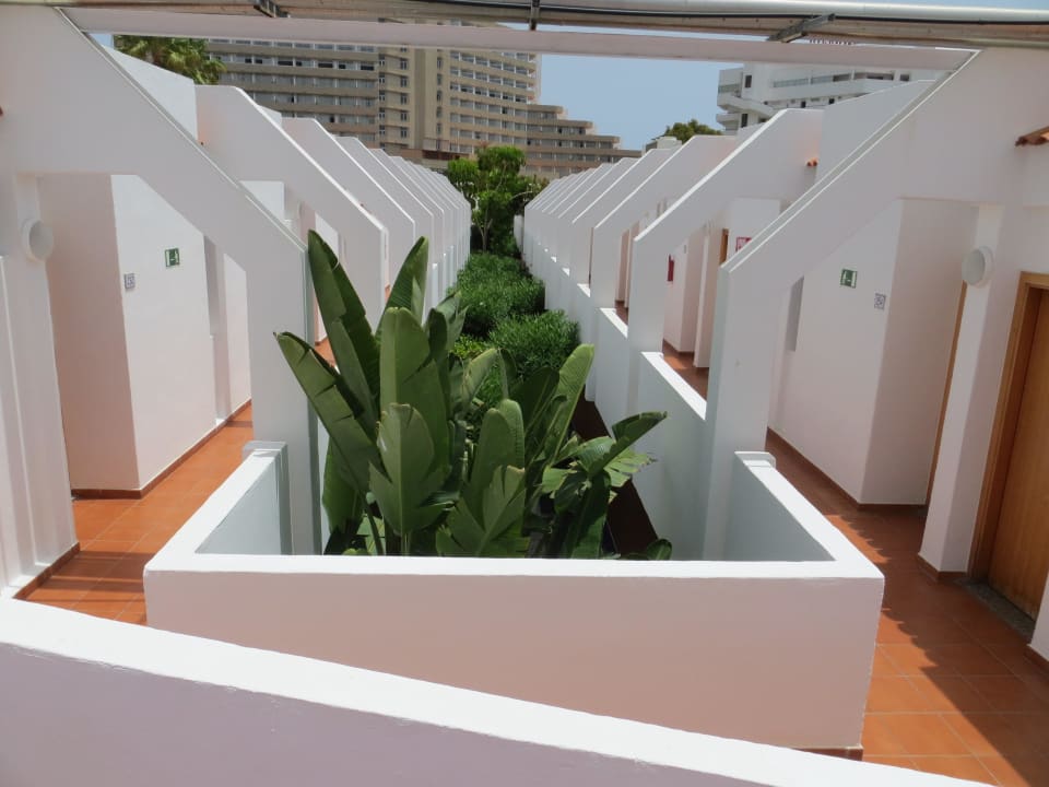 Zwischen den Balkons allsun Hotel Los Hibiscos