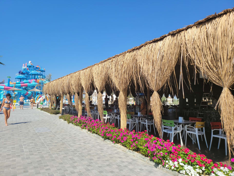 Gastro Dream Water World