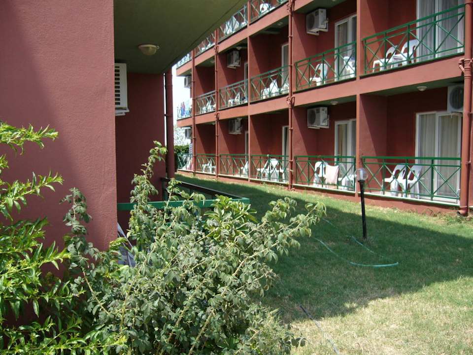 Sun Flipper Hotel Club Life Kizilot