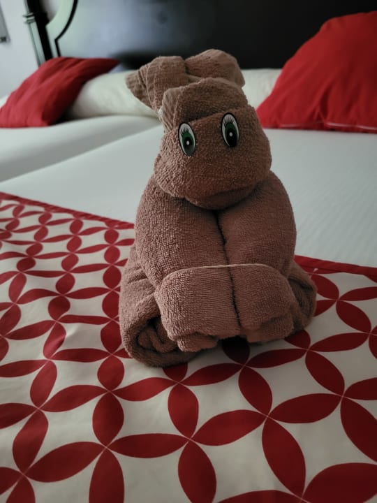 Zimmer Hotel Riu Tequila