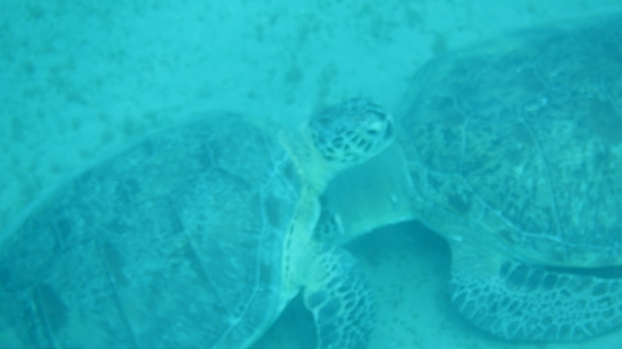 Sport & Freizeit Malikia Resort Abu Dabbab