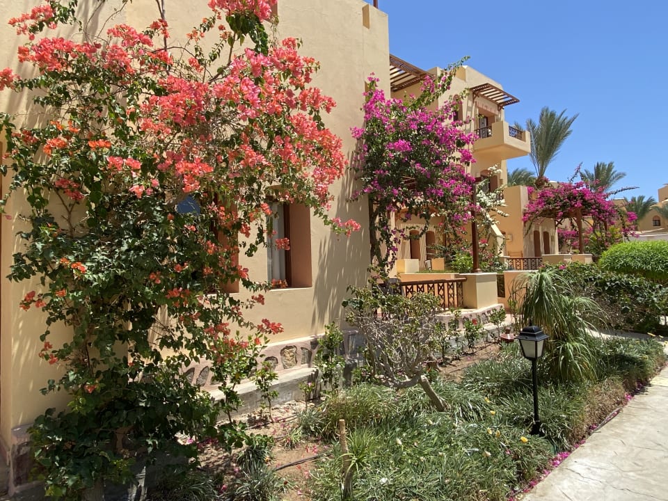 Gartenanlage Steigenberger Coraya Beach - Adults only