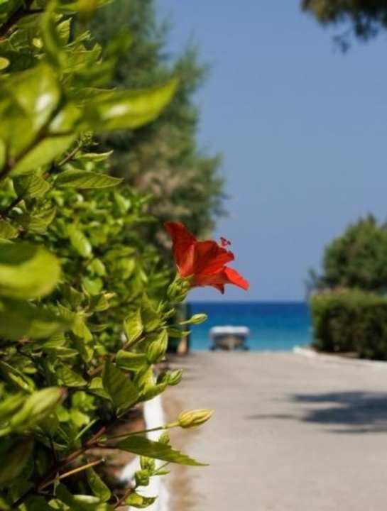 Zaplecze hotelu Doreta Beach Resort & Spa