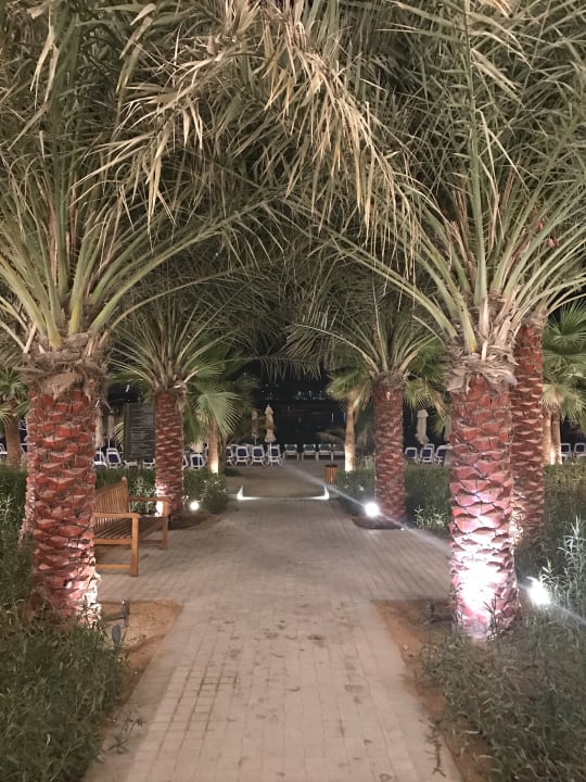 Gartenanlage DoubleTree by Hilton Resort & Spa Marjan Island