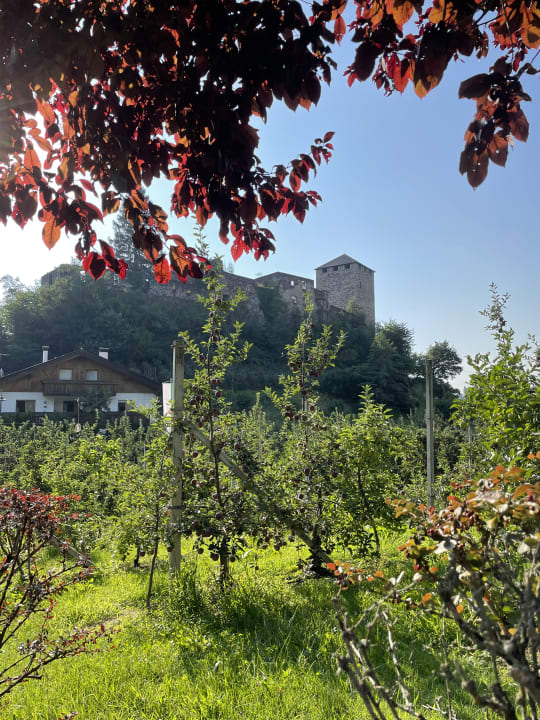 Ausblick Hotel Der Waldhof