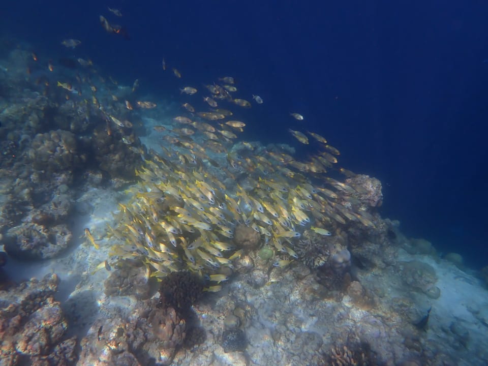 Strand NH Collection Maldives Reethi Resort