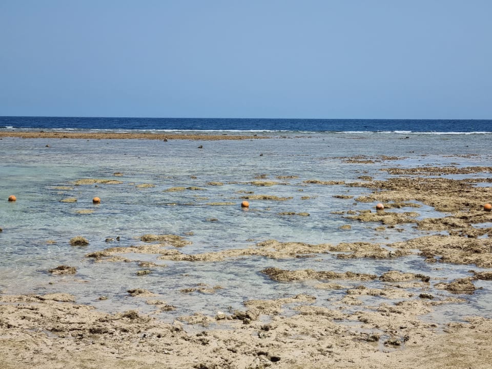 Strand Pickalbatros Palace Hotel-Port Ghalib