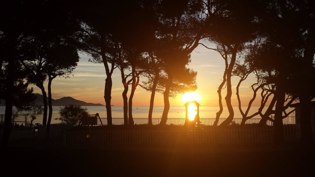 Sonnenaufgang direkt aus dem Zimmer Iberostar Waves Playa de Muro