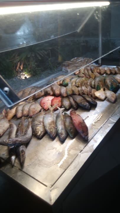 Gastro Pickalbatros Aqua Vista Resort - Hurghada