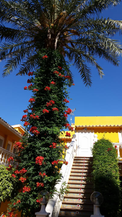 Innenhof Hotel Cupidor