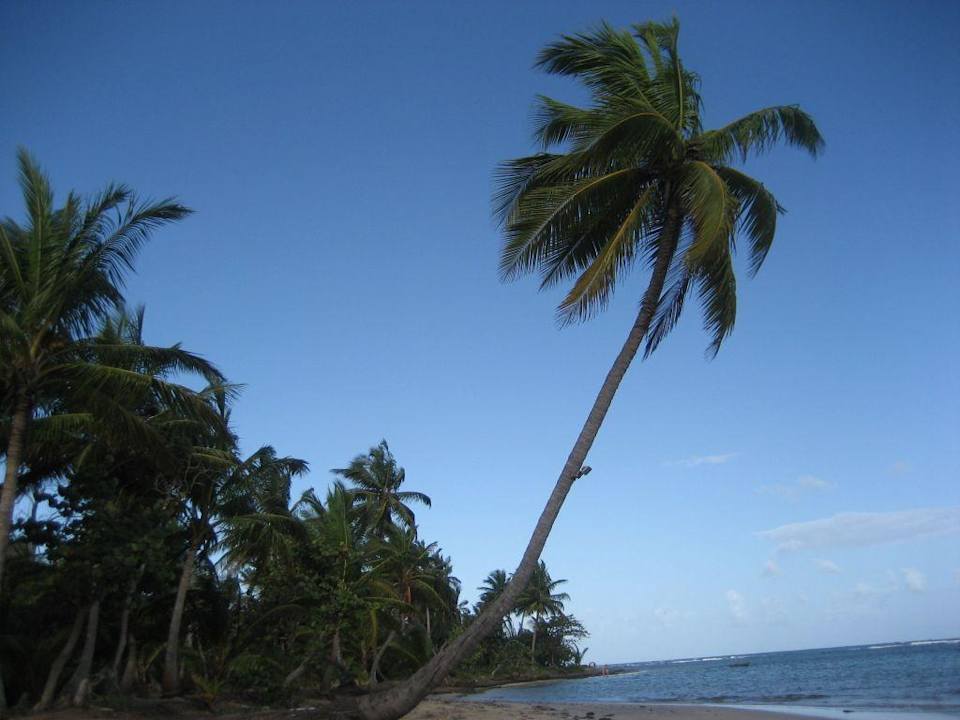 Plage Bahia Principe Grand El Portillo