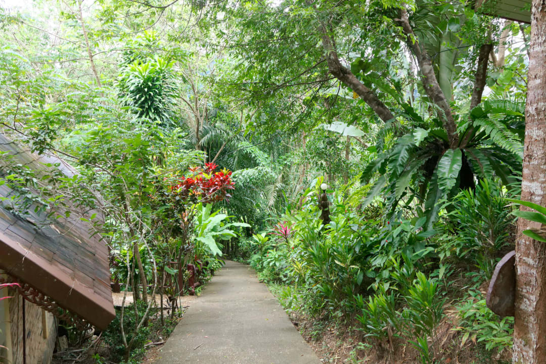Gartenanlage Khao Sok Las Orquideas Resort