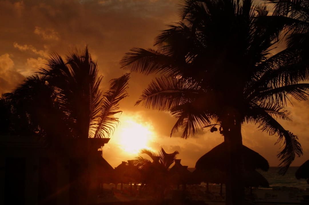 Sonnenaufgang zwischen Palmen und Meer Iberostar Waves Quetzal