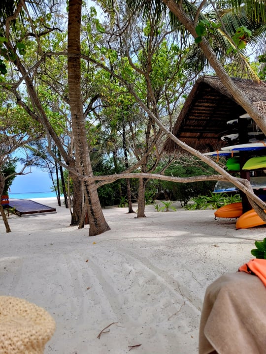 Strand Summer Island Maldives