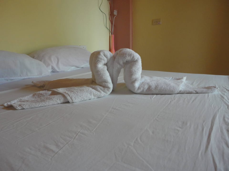 Alex attention to detail Casa Mary y Angel