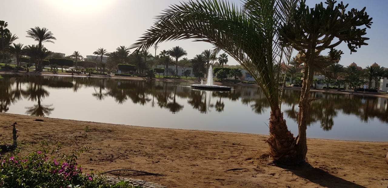 Gartenanlage Pharaoh Azur Resort