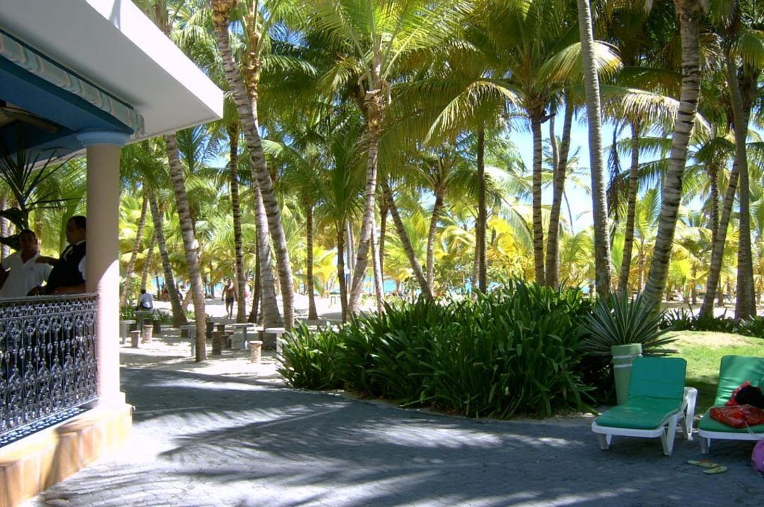 Blick vom Pool zum Strand Hotel Riu Bambu