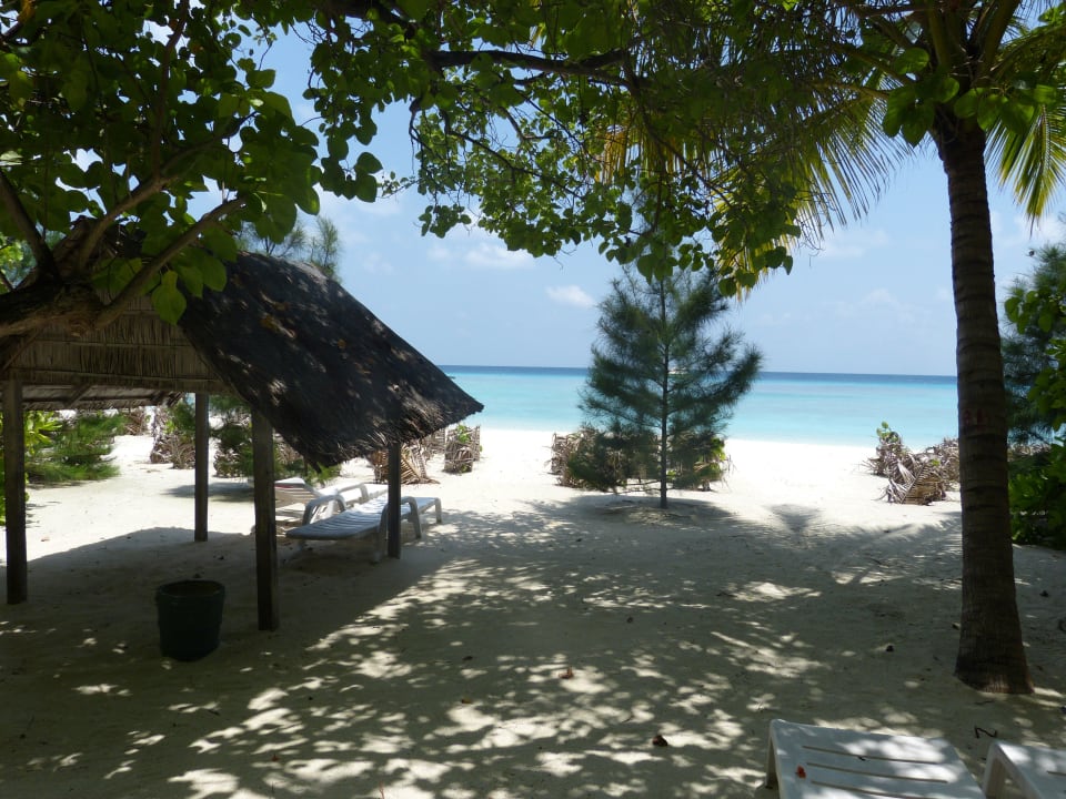 Standardbungalow 7 Summer Island Maldives