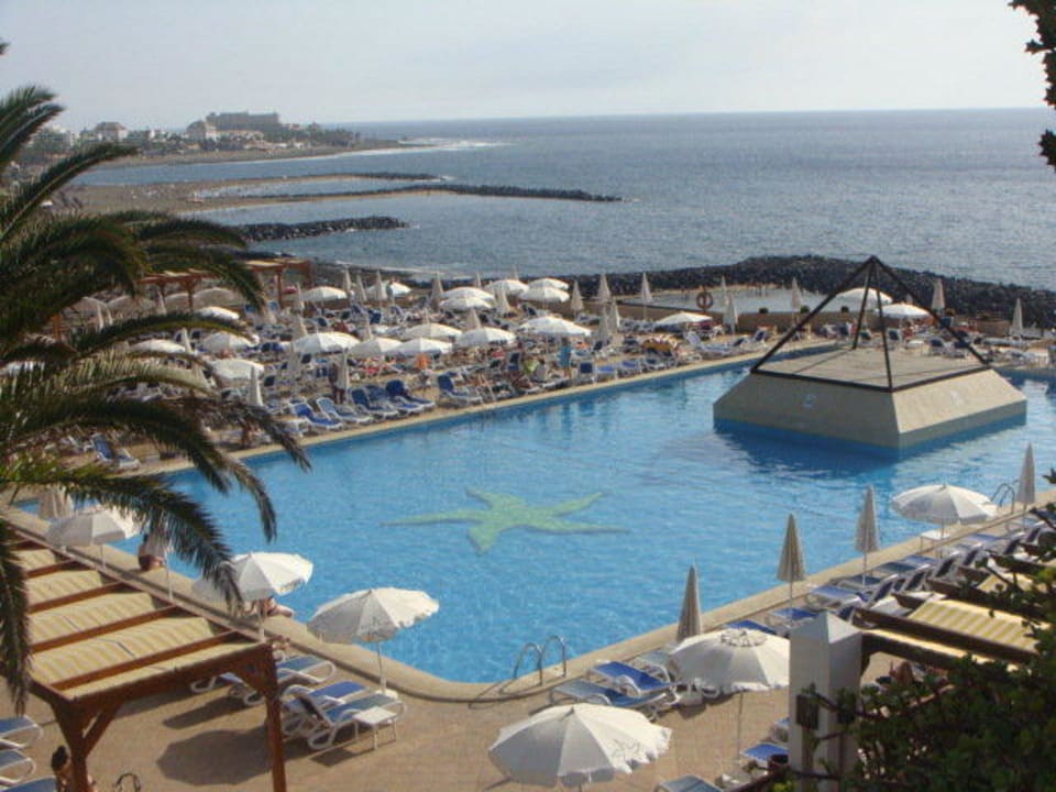 Super schöner Pool, schöne Liegen und Animation Iberostar Waves Bouganville Playa