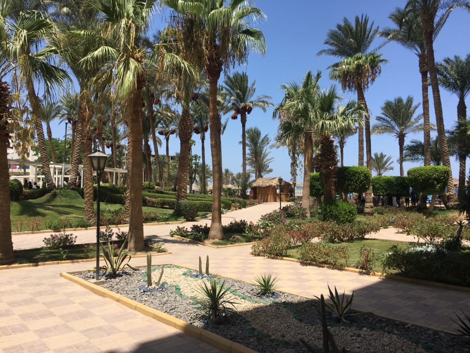 Gartenanlage Regina Resort and Aqua Park Hurghada