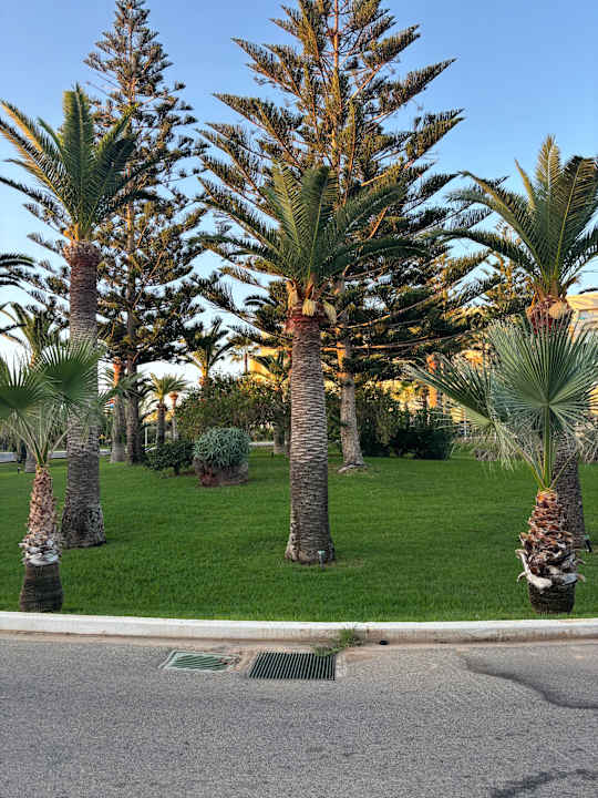 Gartenanlage Iberostar Waves Creta Panorama & Mare