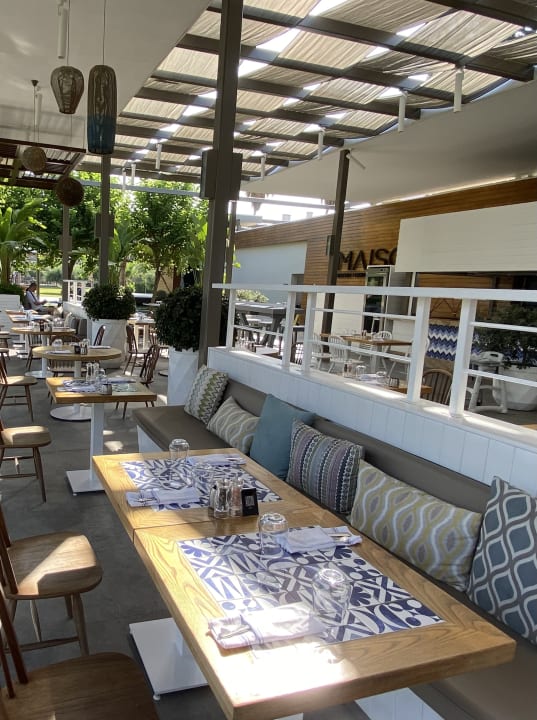 Gastro Acanthus Cennet Barut Collection