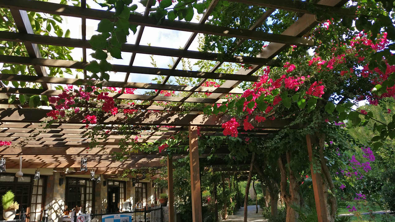 Gartenanlage Apollonia Beach Resort & Spa