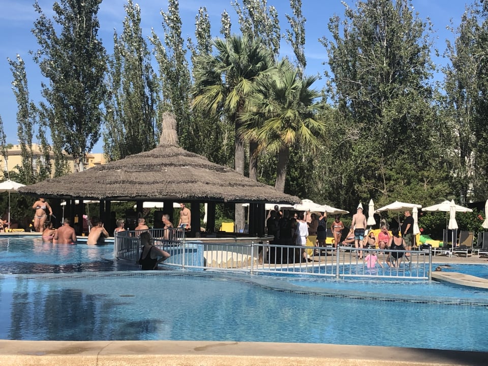 Pool R2 Lago Playa Park