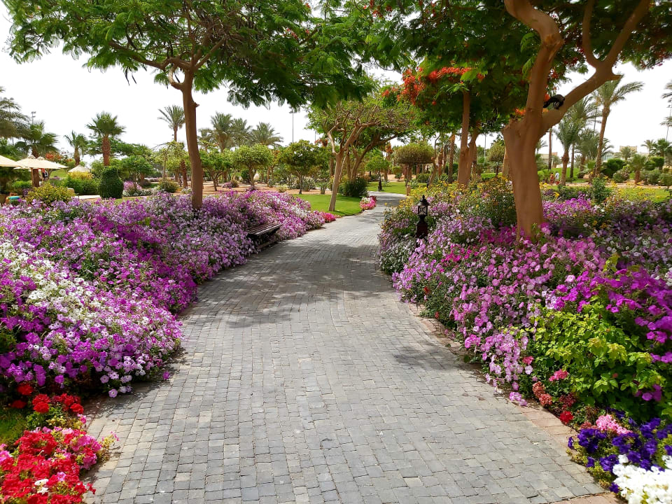 Gartenanlage Steigenberger ALDAU Beach Hotel