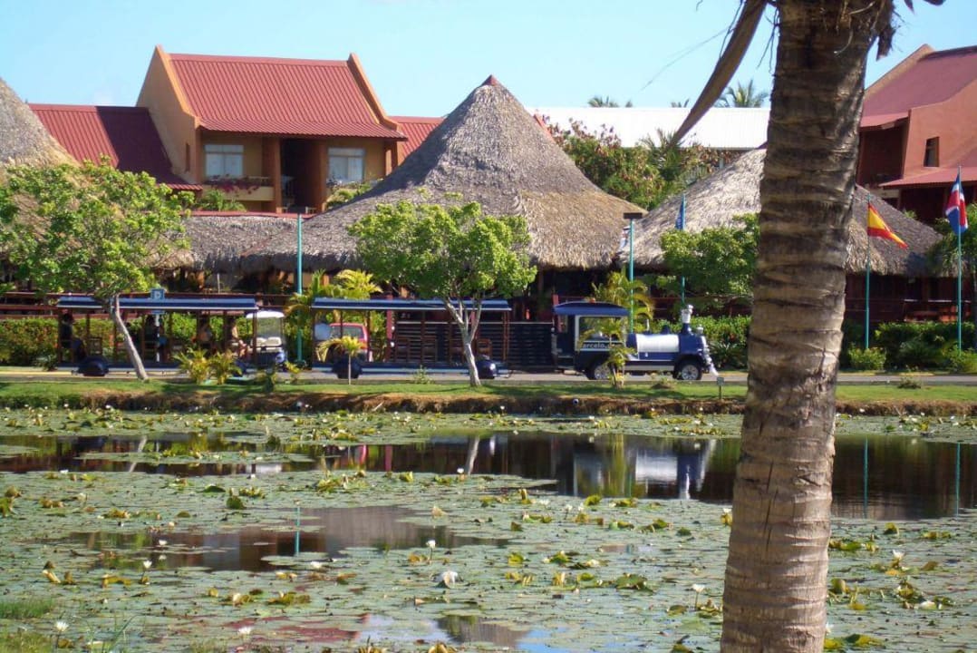 Rezeption  Barceló Bávaro Palace